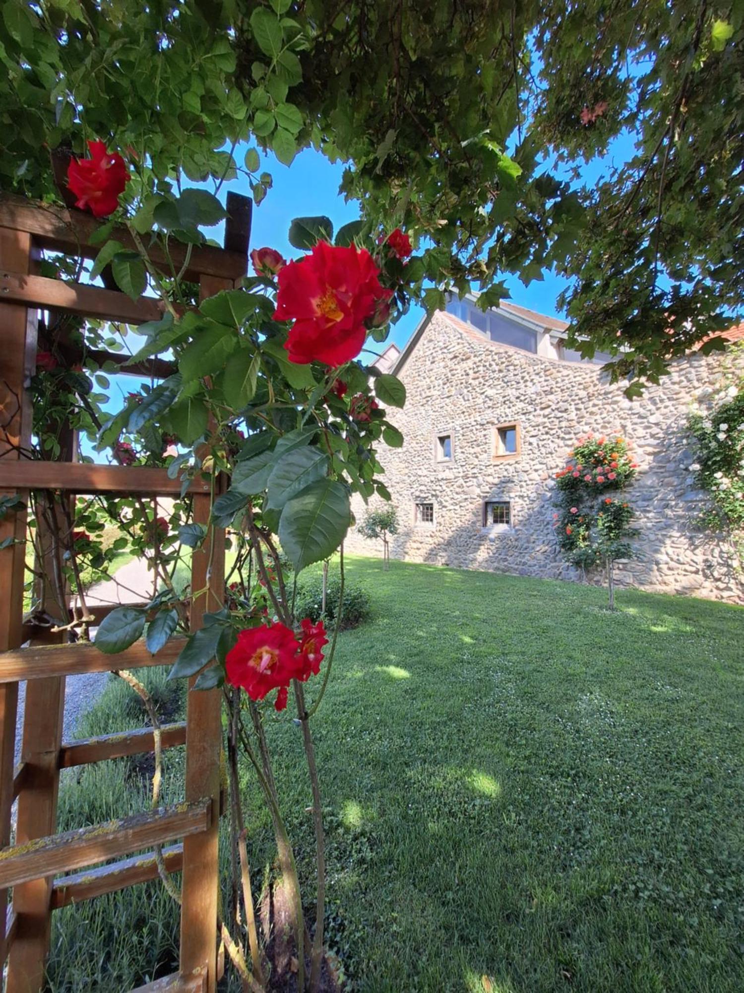 Ueberblick Appartement Radolfzell am Bodensee